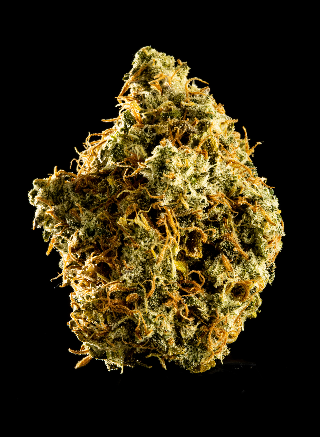 Sour Kush
